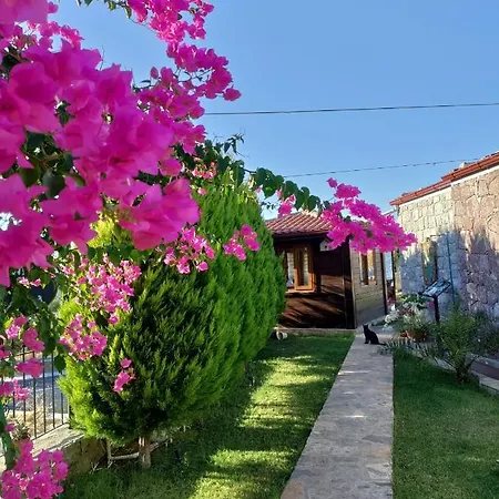 Harmanyeri Tatilevi Bed & Breakfast Selimiye (Aegean)