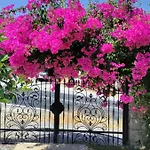 Harmanyeri Tatilevi * Selimiye (Aegean)