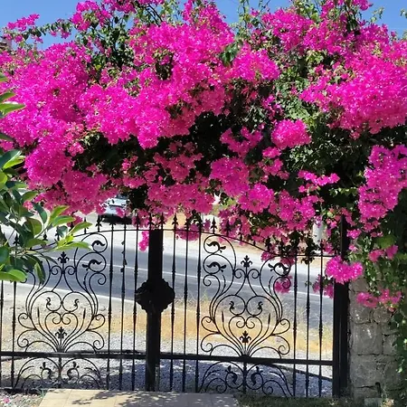 Harmanyeri Tatilevi * Selimiye (Aegean)