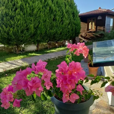 Harmanyeri Tatilevi فندق مبيت وإفطار *