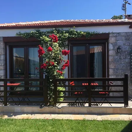 Harmanyeri Tatilevi B&B *