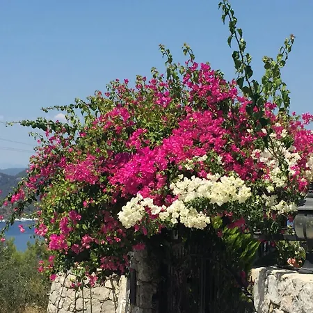 فندق مبيت وإفطار Harmanyeri Tatilevi *