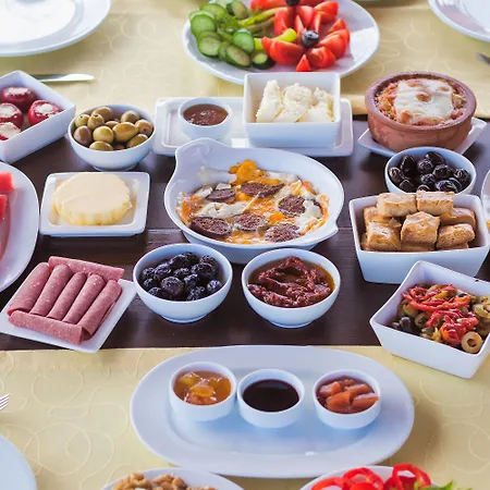 住宿加早餐酒店 Harmanyeri Tatilevi