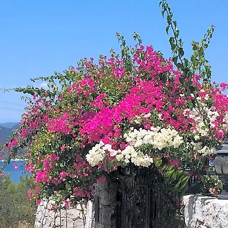 Harmanyeri Tatilevi Bed & Breakfast *