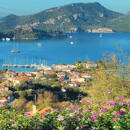 Oda ve Kahvaltı Harmanyeri Tatilevi