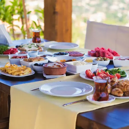 فندق مبيت وإفطار Harmanyeri Tatilevi