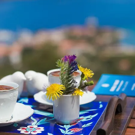 Harmanyeri Tatilevi B&B