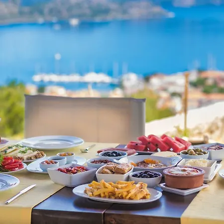 Harmanyeri Tatilevi B&B